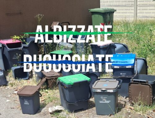 Coinger, Albizzate esce: le nostre preoccupazioni non erano sbagliate